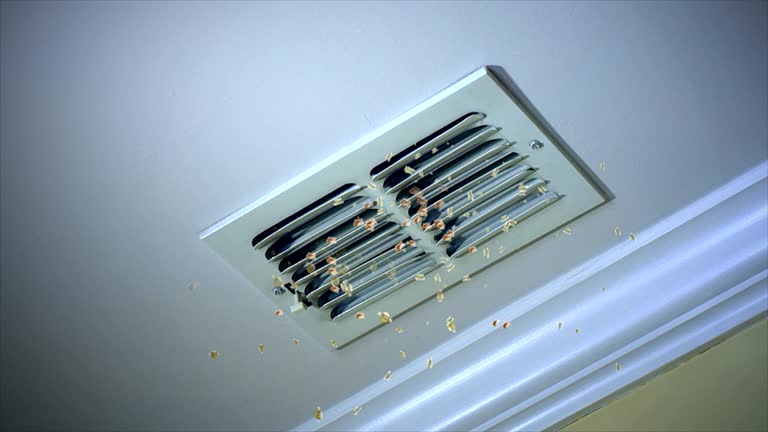 Best Best Air Duct Cleaning Company  in Estherville, IA