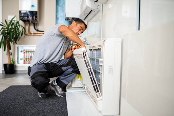 Best Home Air Vent Cleaning  in Estherville, IA