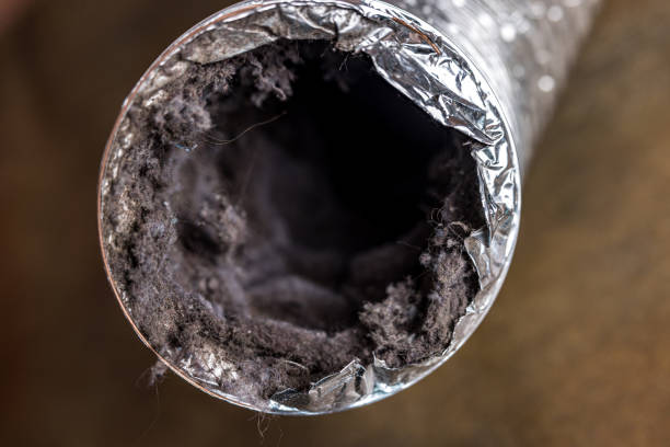 Best Affordable Air Duct Cleaning  in Estherville, IA