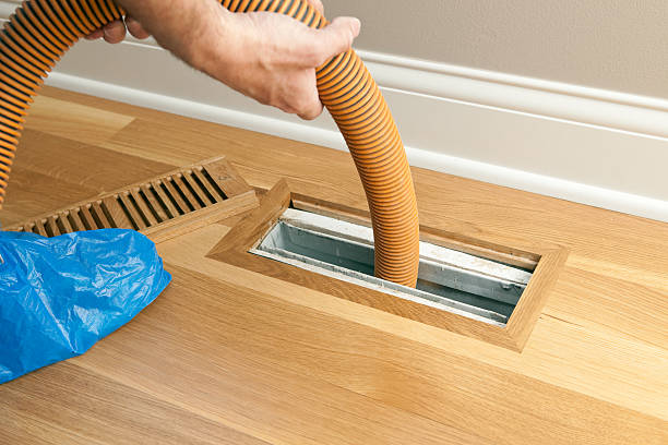 Best Air Duct Inspection  in Estherville, IA