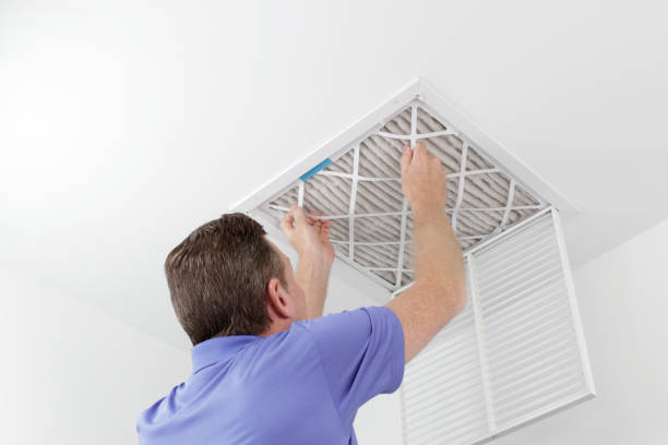 Best Dryer Vent Cleaning Services  in Estherville, IA